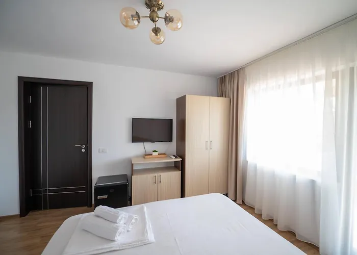 Casa Voicu Πανσιόν 3*