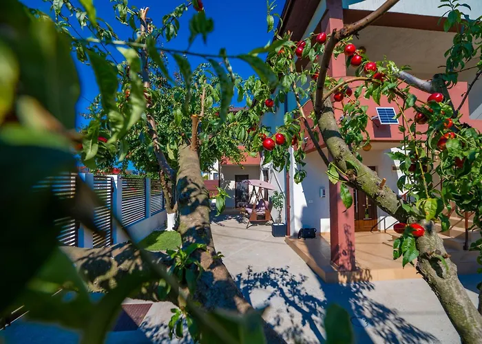 Casa Voicu Észak-Eforie